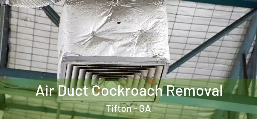  Air Duct Cockroach Removal Tifton - GA
