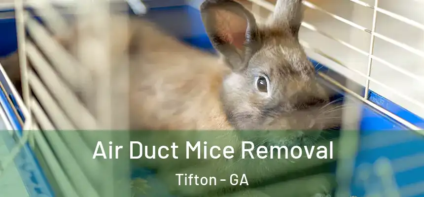  Air Duct Mice Removal Tifton - GA