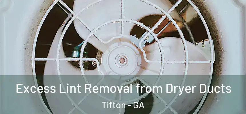  Excess Lint Removal from Dryer Ducts Tifton - GA