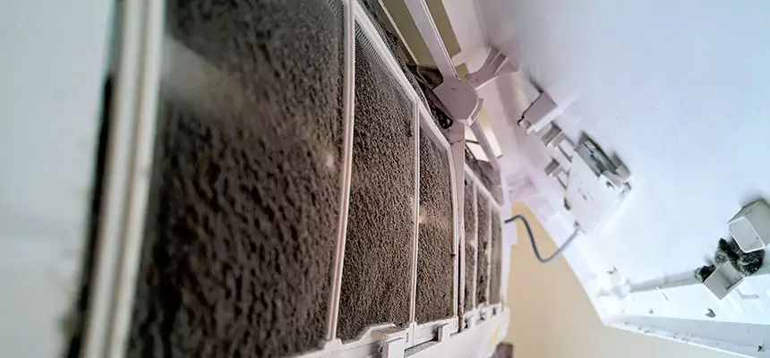 Preventive Air Duct Bacteria Removal in Tifton