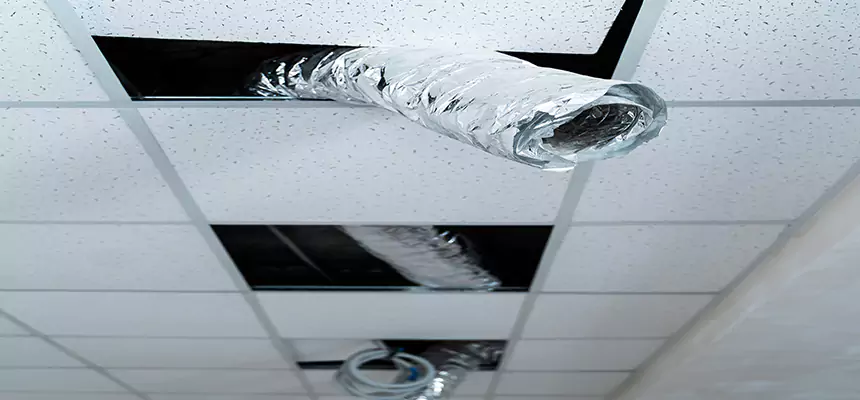 Our Air Duct Pet Hair Removal Services in Tifton, GA