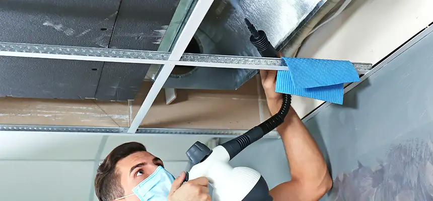 Our Air Duct Rodent Removal Services in Tifton, GA