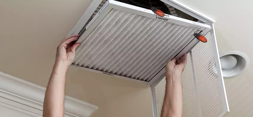 Our Insect Removal from Air Ducts Services in Tifton, GA