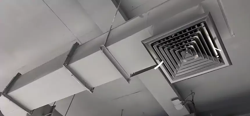 Our Pest Removal From Ducts Services in Tifton, GA