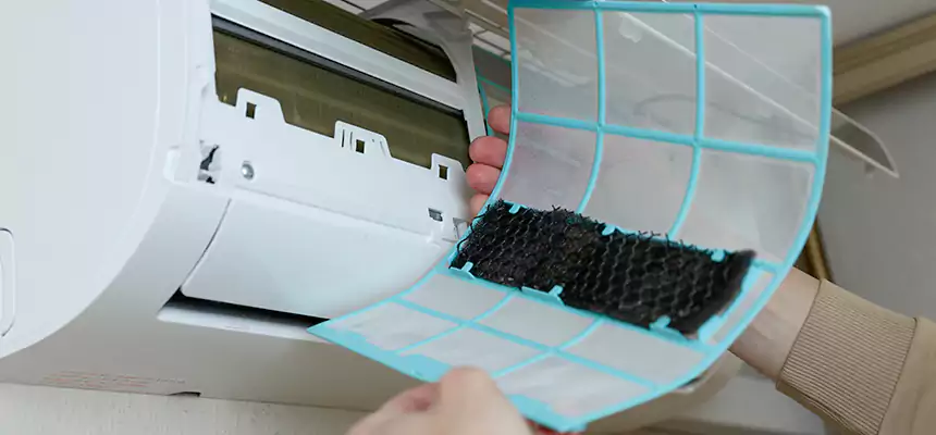 Gentle Ductwork Odor-Control Pet Dander Duct Cleaning in Tifton, GA