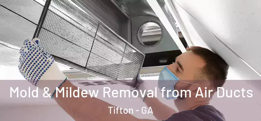  Mold & Mildew Removal from Air Ducts Tifton - GA