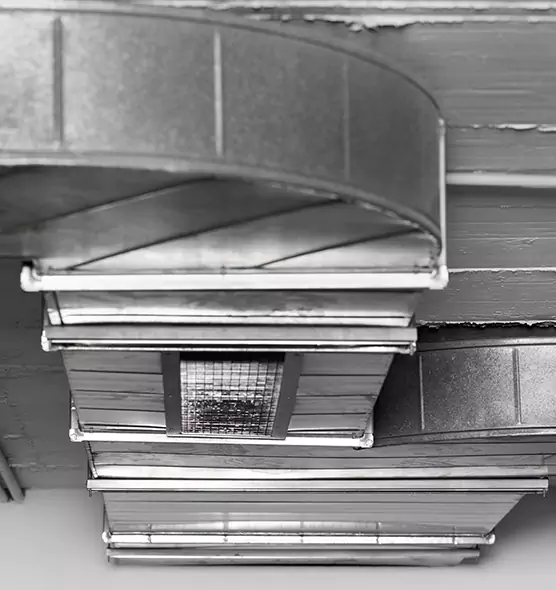 Professional Air Duct Pet Hair Removal in Tifton, GA