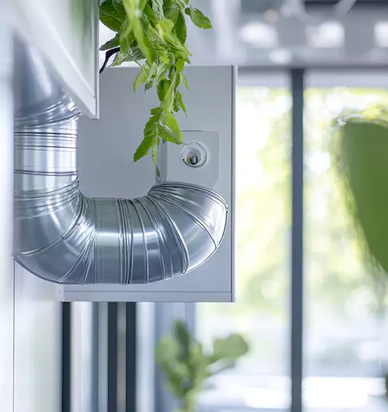 Professional Eco-Safe Dryer Vent Cleaning in Tifton, GA