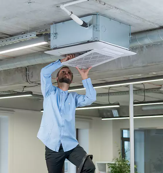Advanced Rodent Droppings In Vents in Tifton, GA