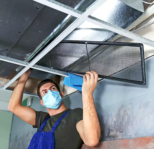 Why Homeowners Businesses Trust Us in Tifton, GA